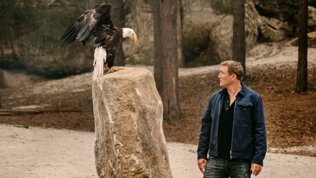 Na plátna kin míří fantastický bestseller o tajemných woodwalkerech