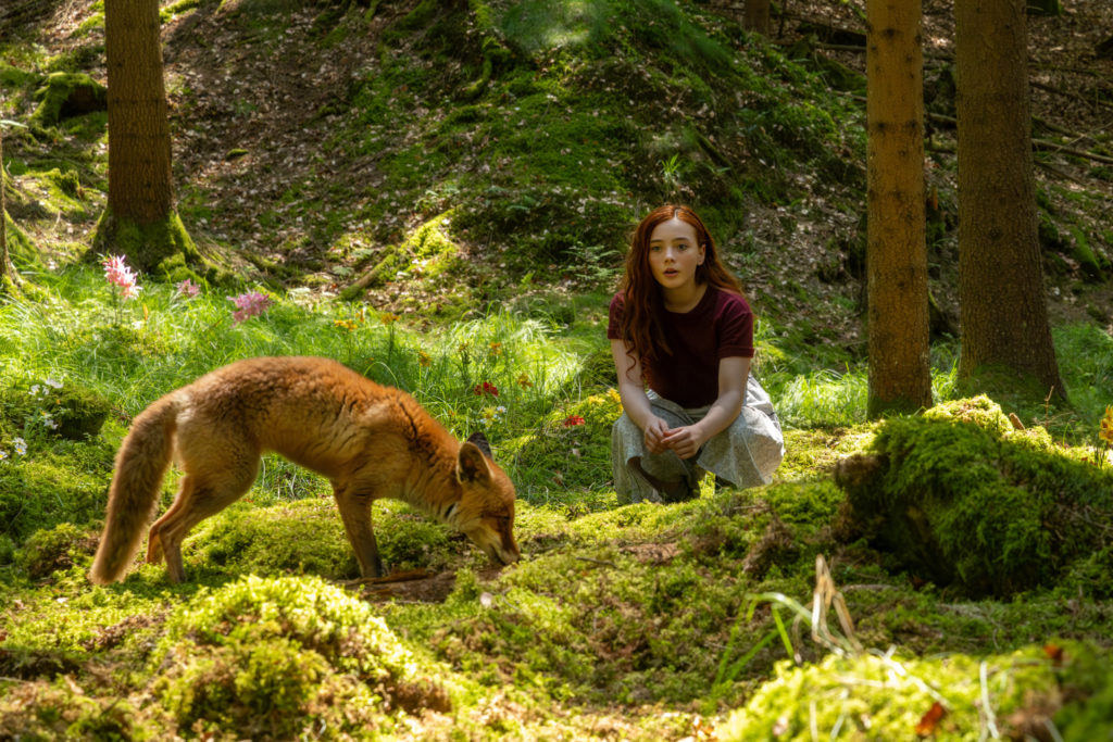 Magie v kinech: Dívka jménem Willow je fantastický pohádkový příběh, který zahřeje u srdce i probudí touhu chránit přírodu