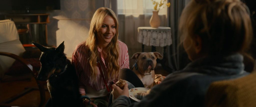 Festival Týden ukrajinského filmu