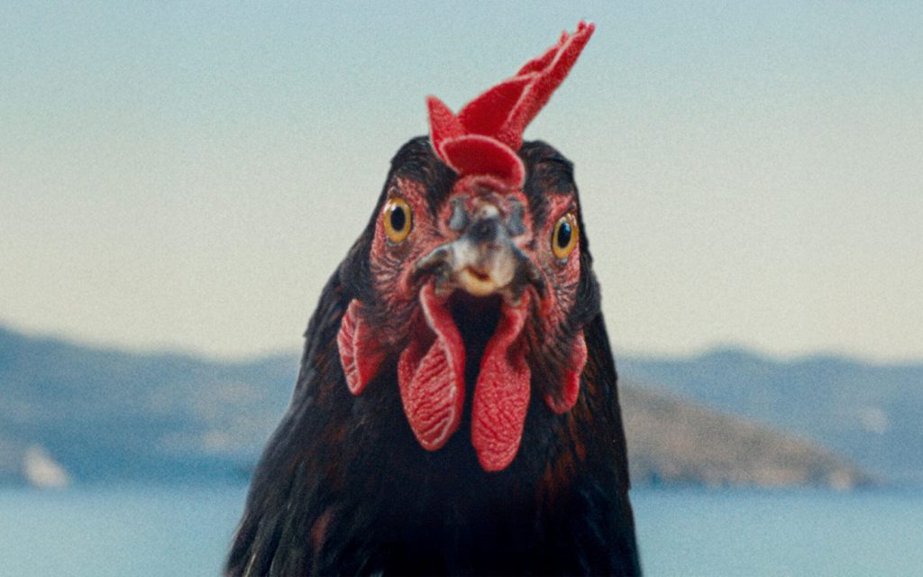 Dny evropského filmu